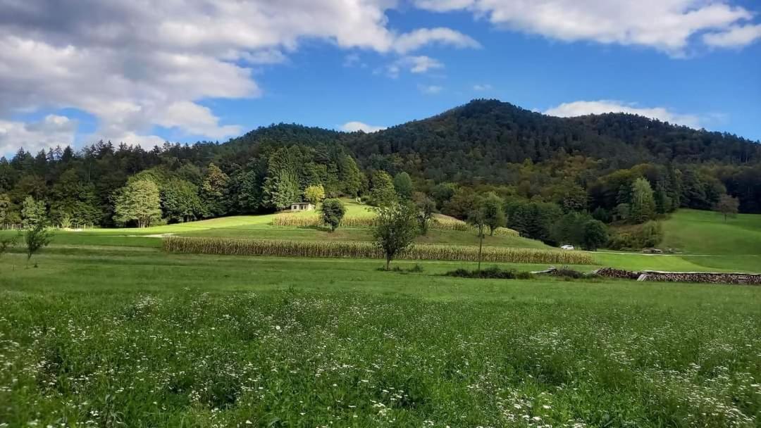 Apartma Pod Pugledom Daire Ljubljana Dış mekan fotoğraf